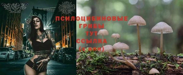 амфетамин Алексин