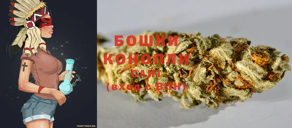 PSILOCYBIN Пересвет